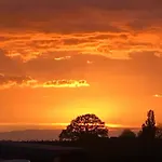 Serene In With Terrace