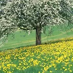 Casa de Férias Serene In With Terrace