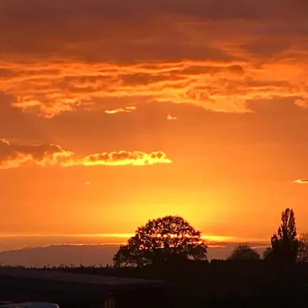 Serene In With Terrace