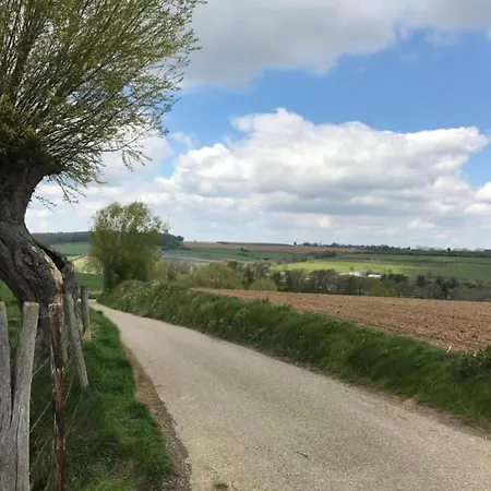 Serene In With Terrace Feriehus