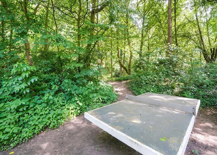 Сasa de vacaciones Serene In With Terrace