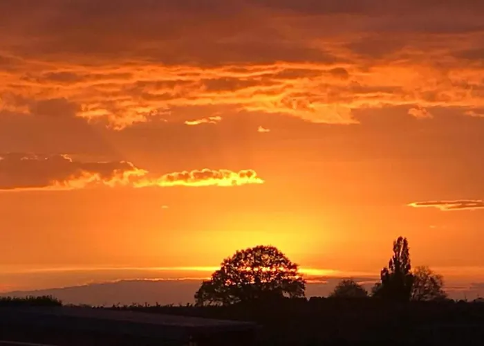 Serene In With Terrace