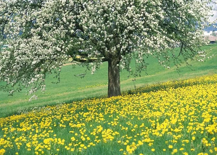 Сasa de vacaciones Serene In With Terrace