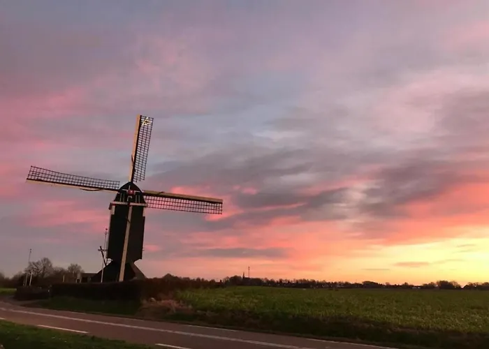 Serene In With Terrace *