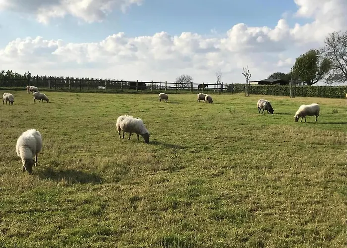 بيت للعطل Serene In With Terrace Ulestraten